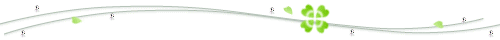 737(2)